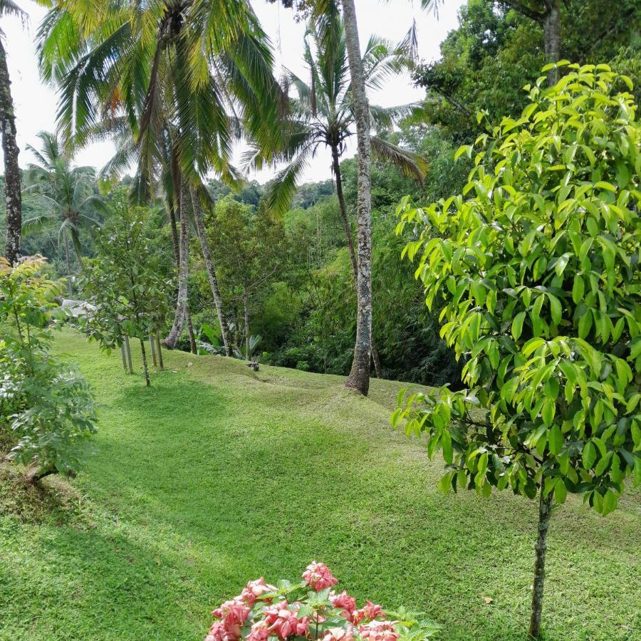 Sugita Wooden House Hotel Payangan Bagian luar foto